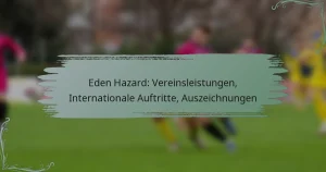 Eden Hazard: Vereinsleistungen, Internationale Auftritte, Auszeichnungen