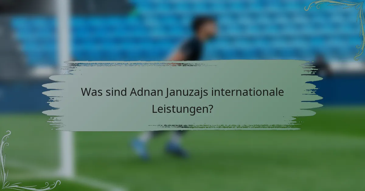Was sind Adnan Januzajs internationale Leistungen?