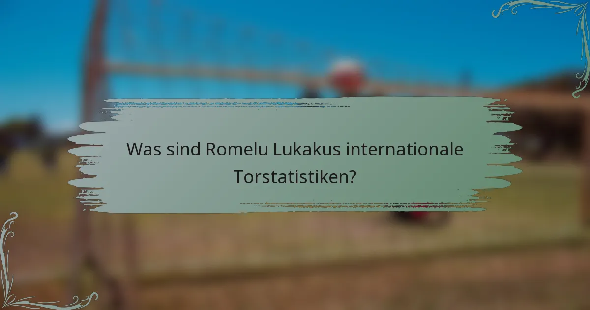 Was sind Romelu Lukakus internationale Torstatistiken?