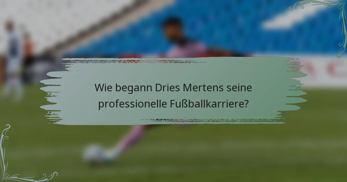 Wie begann Dries Mertens seine professionelle Fußballkarriere?