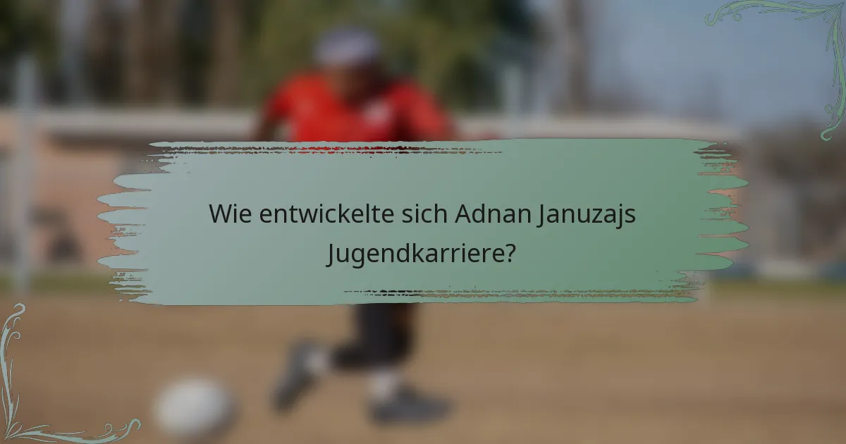 Wie entwickelte sich Adnan Januzajs Jugendkarriere?