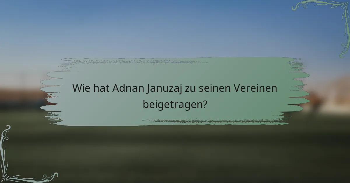 Wie hat Adnan Januzaj zu seinen Vereinen beigetragen?